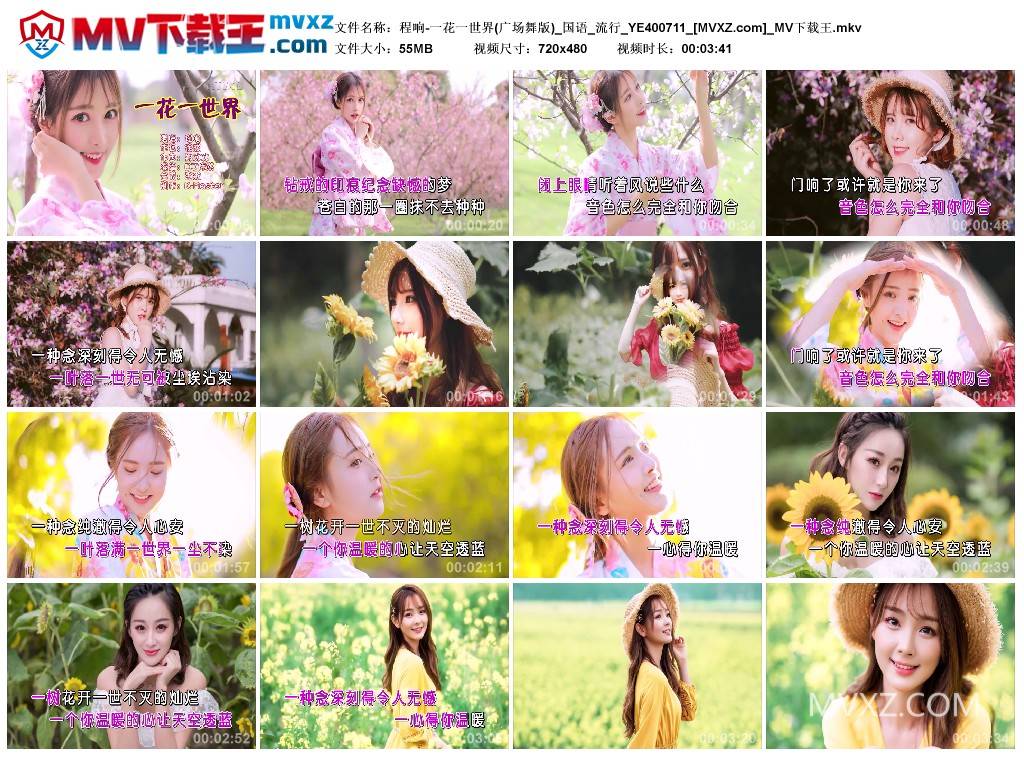 程响-一花一世界(广场舞版)_国语_流行_YE400711